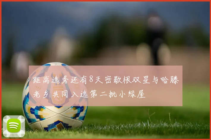 距离选秀还有8天密歇根双星与哈滕老乡共同入选第二批小绿屋